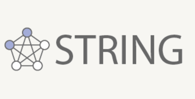 STRING logo